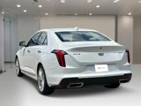 Used 2023 Cadillac CT4 Premium Luxury image 3