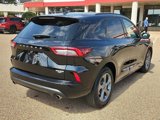 Used 2024 Ford Escape ST-Line image 4