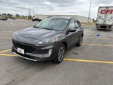 Used 2020 Ford Escape SEL image 4