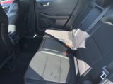 Used 2023 Ford Escape ST-Line w/ Tech Pack #1 image 3
