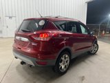 Used 2014 Ford Escape Titanium image 5