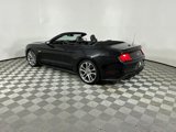 Used 2021 Ford Mustang GT Premium w/ Equipment Group 401A image 4
