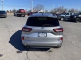 Used 2023 Ford Escape ST-Line image 4
