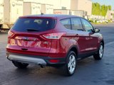 Used 2014 Ford Escape SE image 4