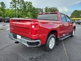 Used 2020 Chevrolet Silverado 1500 LT w/ All-Star Edition image 6