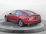 New 2025 Cadillac CT5 Sport image 5
