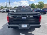 Used 2017 Ford F150 XLT w/ Equipment Group 302A Luxury image 6