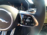 New 2024 Jaguar XF R-Dynamic SE image 5