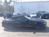 Used 2019 Ford Mustang Premium w/ Equipment Group 201A image 2