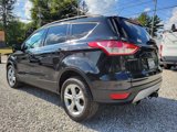 Used 2014 Ford Escape SE w/ Equipment Group 201A image 6