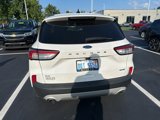 Used 2020 Ford Escape SE image 3