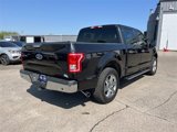 Used 2015 Ford F150 XLT w/ Equipment Group 301A Mid image 3