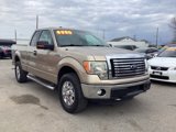 Used 2011 Ford F150 XLT w/ XLT Chrome Pkg image 2