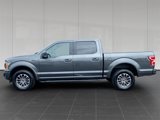 Used 2019 Ford F150 XLT w/ Equipment Group 302A Luxury image 2
