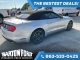 Used 2019 Ford Mustang Premium image 5