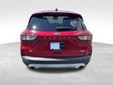 Used 2020 Ford Escape SE image 6