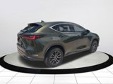 Certified 2024 Lexus NX 250 FWD image 4