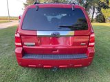 Used 2010 Ford Escape Limited image 4