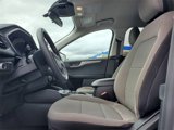 Used 2022 Ford Escape SE image 5