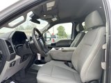 Used 2020 Ford F250 XL w/ STX Appearance Package image 5