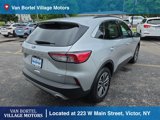 Used 2020 Ford Escape SEL image 5