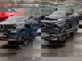 View Video