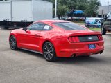 Used 2017 Ford Mustang Coupe w/ Interior & Wheel Package image 4