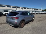 Used 2022 Ford Escape SE w/ Cold Weather Package image 6
