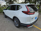 Used 2022 Honda CR-V EX-L image 5