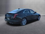 New 2025 Cadillac CT4 Premium Luxury image 5