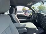 Used 2014 Ford F150 STX w/ Equipment Group 201A Mid image 3
