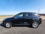 Used 2020 Ford Escape SE image 5