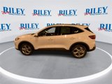 New 2025 Ford Escape ST-Line Elite image 6
