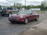Used 2004 Ford Thunderbird image 2