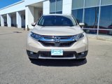 Used 2019 Honda CR-V EX-L image 2
