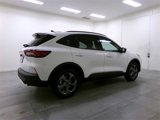 New 2025 Ford Escape ST-Line w/ Tech Pack #1 image 6
