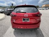New 2025 MAZDA CX-5 AWD 2.5 S w/ Select Package image 6