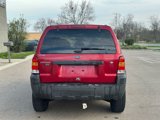 Used 2007 Ford Escape XLT image 6