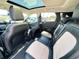 Certified 2021 Ford Escape Titanium w/ Titanium Elite Package image 4