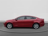 Used 2020 Ford Fusion Energi Titanium image 6