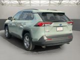 Used 2023 Toyota RAV4 XLE image 5