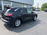 Used 2022 Ford Escape SE w/ Cold Weather Package image 3