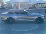 Used 2022 Ford Mustang GT Premium w/ GT Performance Package image 4