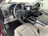 Used 2019 Ford F150 XLT w/ Equipment Group 302A Luxury image 4