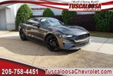 Used 2019 Ford Mustang Coupe w/ Equipment Group 101A image 1