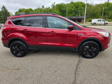 Used 2016 Ford Escape SE w/ Equipment Group 201A image 6