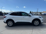 Used 2024 Ford Escape Active w/ Tech Pack #1 image 5