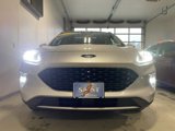 Used 2020 Ford Escape Titanium image 4