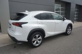 Used 2017 Lexus NX 200t AWD image 4