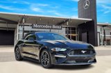 Used 2020 Ford Mustang Premium image 2